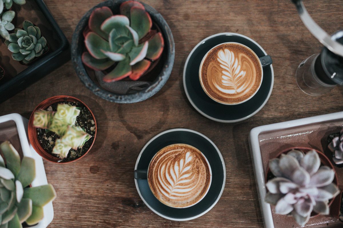 Coffee and plants