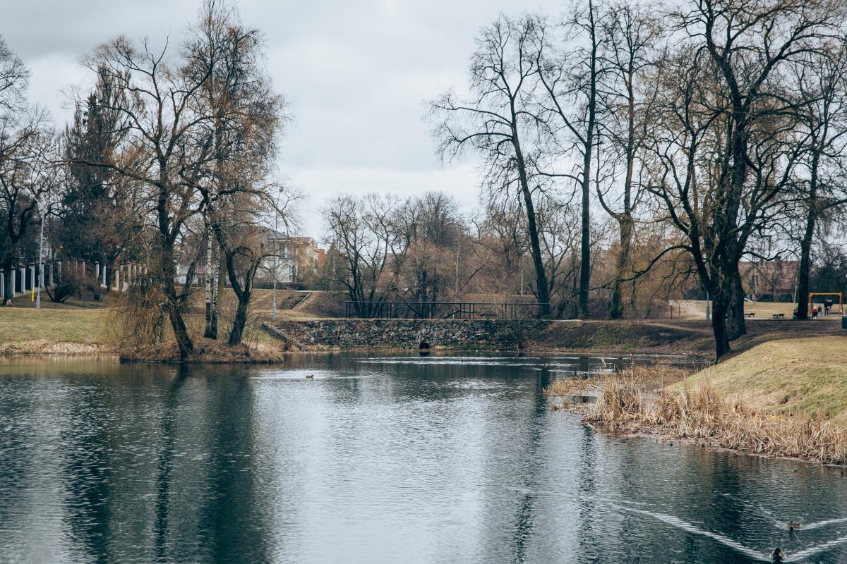 Tours in Vilnius The best places to see in Žvėrynas VP