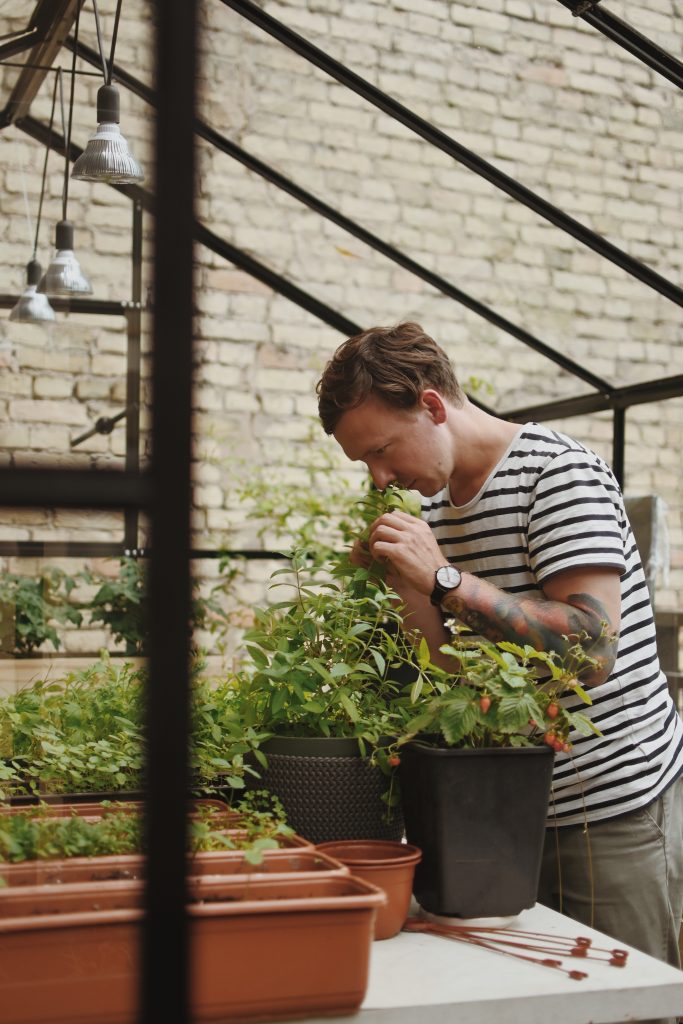 Chef Deivydas Praspaliauskas at his organic garden